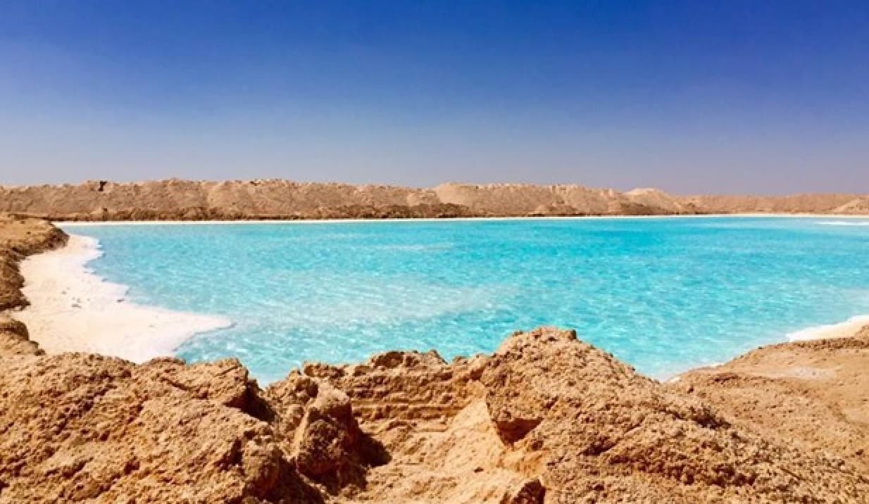 Sunset over the Siwa Oasis palm groves